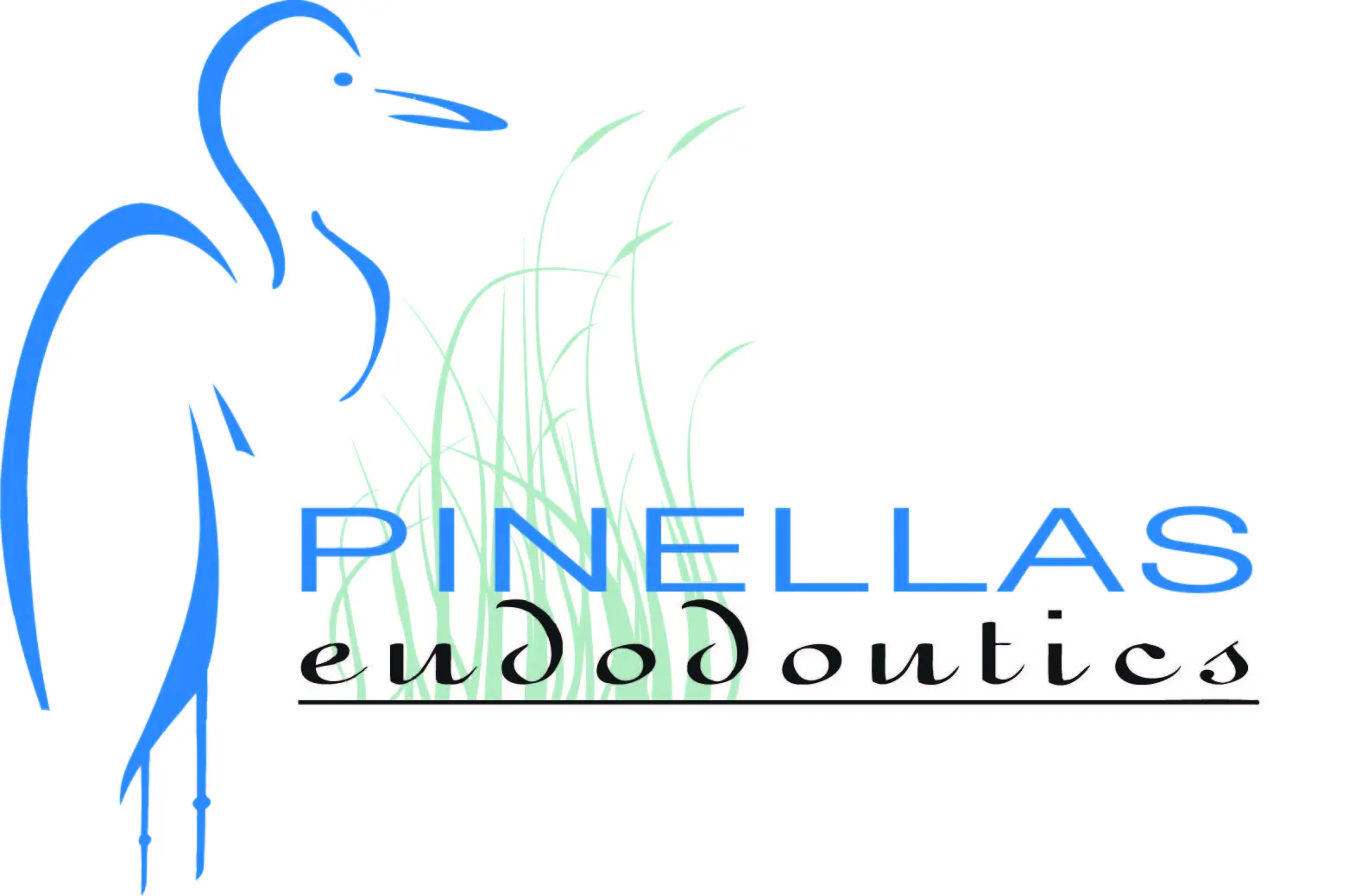 Link to Pinellas Endodontics, PA home page
